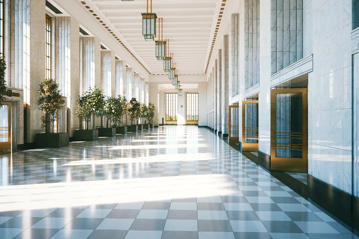 Sunlit Entrance Hall